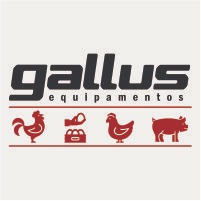 Gallus